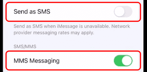 SMS, MMS 활성 버튼